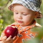 L&rsquo;alimentation de bébé